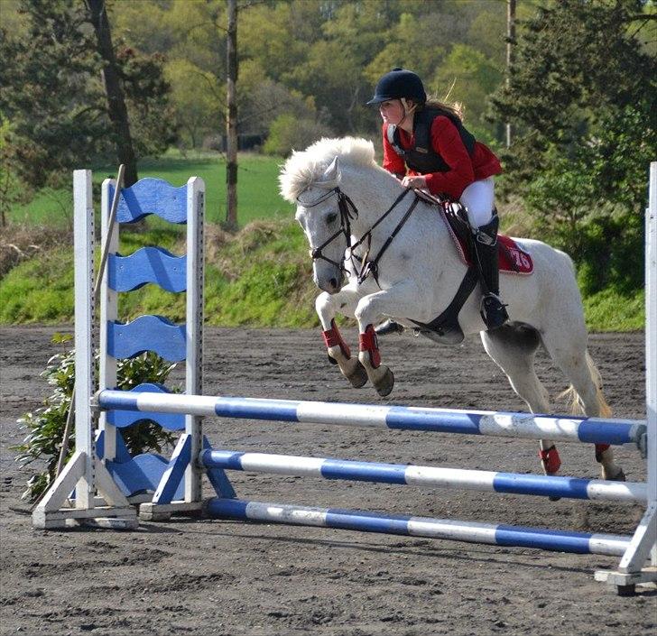 Anden særlig race Snowball - det handler ikke om at gøre det rigtig det handler om at gøre de rigtig ting <3 billede 12