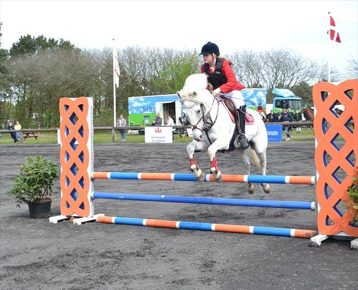 Anden særlig race Snowball - snowball !! jeg Elsker dig mega megat og det ved du også jeg vi ikke kunne leve uden dig min skat <3 du bedtyder alt <3 min prins <3<3<3!!! billede 13