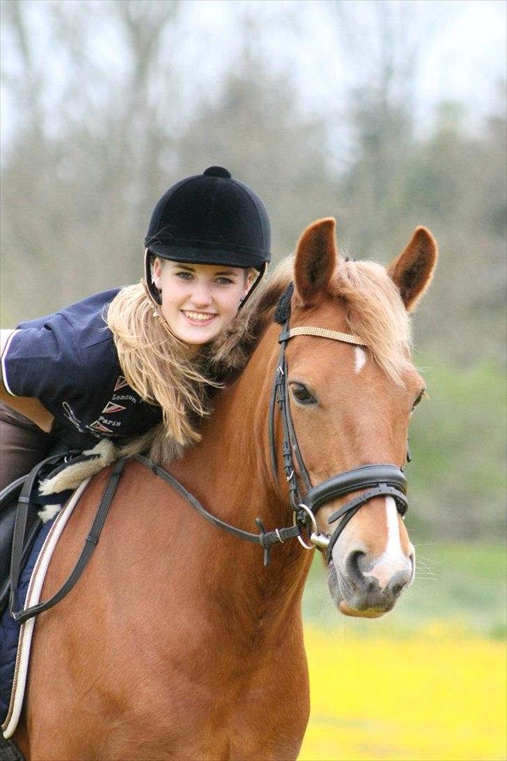 New Forest Nørregårds Miss Moonlight - Du er ikke min pony, men min bedste ven! 
Jeg vandt en 7.plads ud af 49 på Intershowhorse i klassen "Dommerens valg" med dette billede :-)
Foto: Camilla Bøhne
Inden du går så smid lige en kommetar og bedømmelse :D billede 1