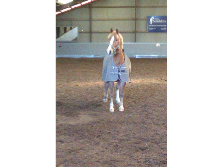 {{currentPhoto.altText}} billede {{currentPhoto.number}}