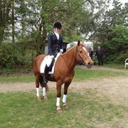 Anden særlig race Monique