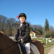 Hollandsk Sportspony pixeline ( gamle part)