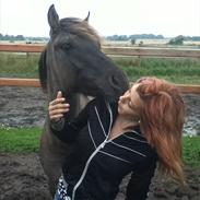 Anden særlig race Silver grey Moonlight