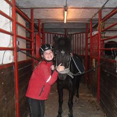 Anden særlig race Malibu