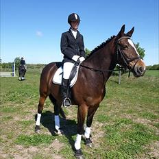 Anden særlig race Lovis (: <3