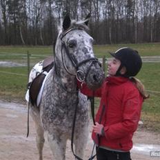 Anden særlig race Benno MITETOGALT! - SOLGT :'( RIDESKOLEHEST
