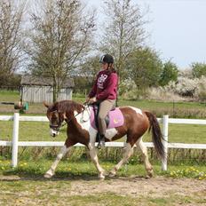 Pinto Karell Nyberg<3