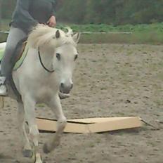 DSP Mascot-My soulmate<3