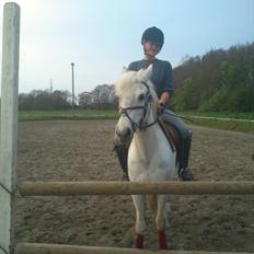 Anden særlig race Duet- min stjerne<3