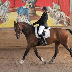 Anden særlig race Actions Apollo