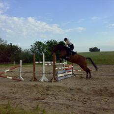 Anden særlig race Actions Apollo