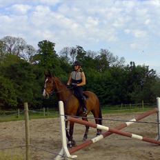 Anden særlig race Actions Apollo