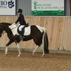 Pinto Saxpo Pleasure.