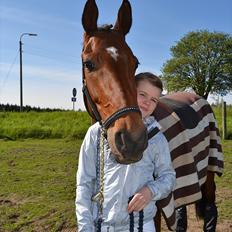 Dansk Varmblod Poldine - Sølyst Himmelhest