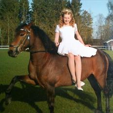 Anden særlig race Hope