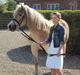 Tyroler Haflinger Bonny