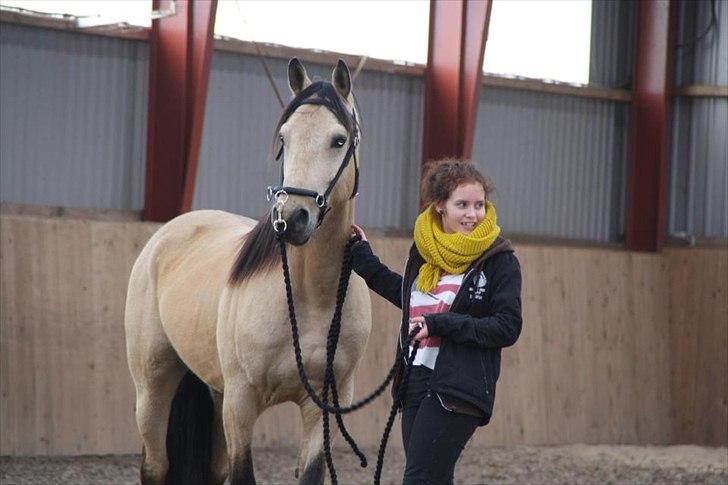 Anden særlig race - Homie - Homie og jeg til kursus med Christina Holmbæck! 
- Maj 2012 billede 5