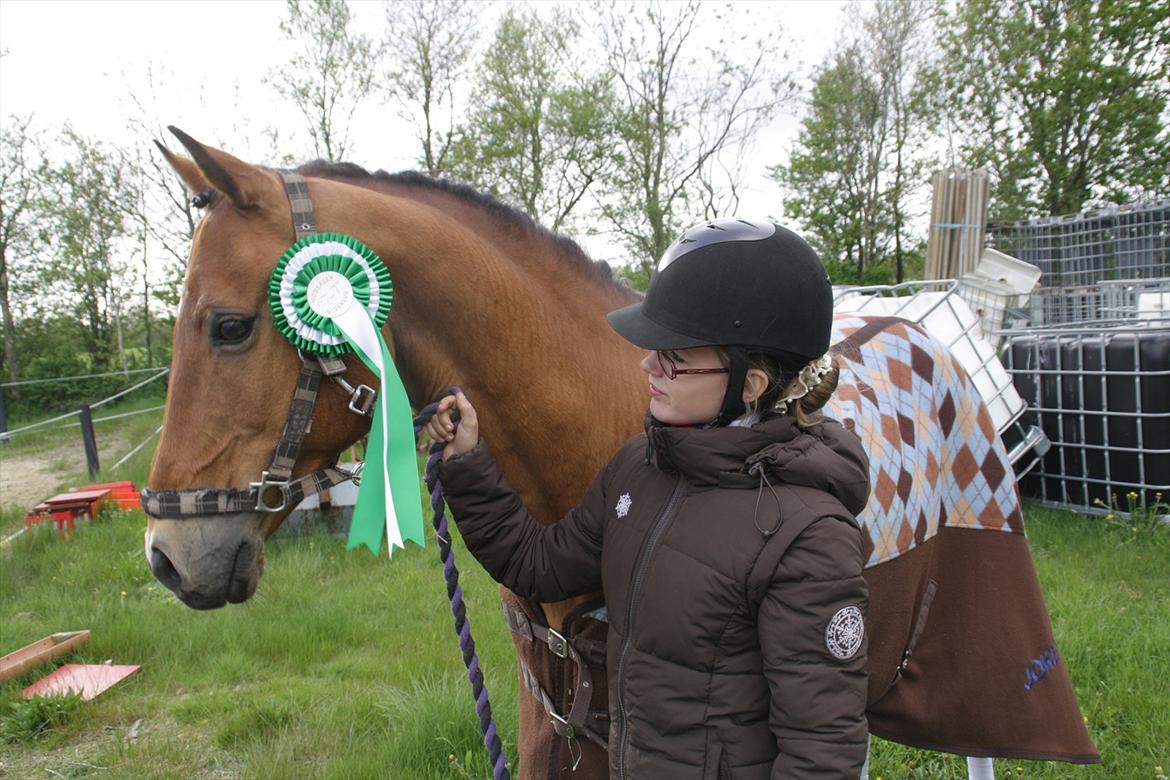 DSP Jokeren "Jokke" - Efter stævne :) billede 1