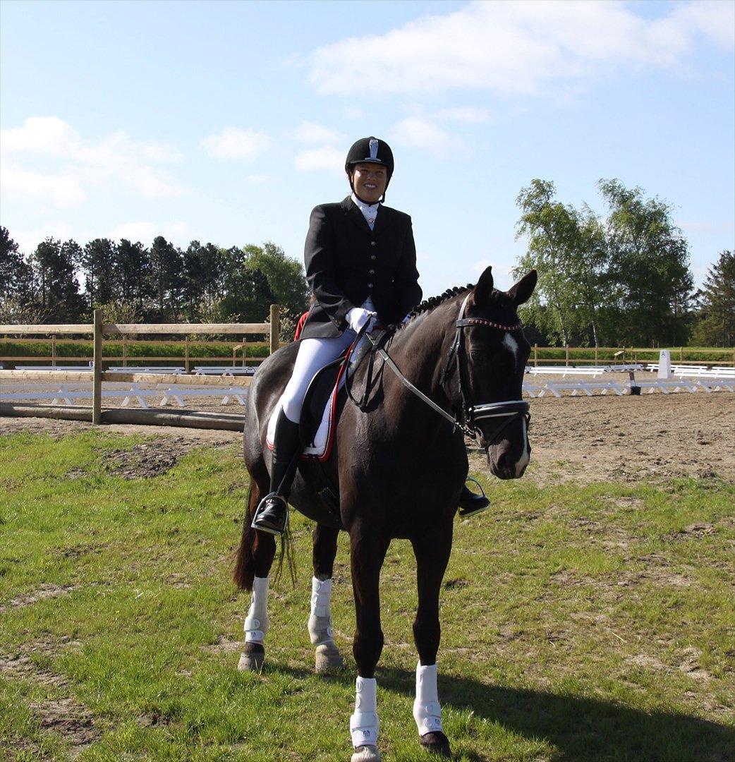 Dansk Varmblod Acacia Hardsyssel billede 20