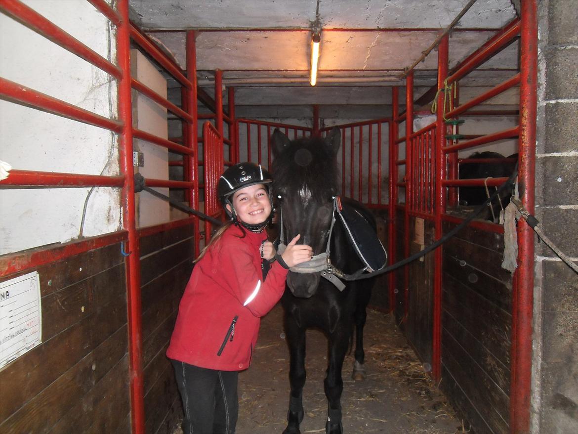 Anden særlig race Malibu - Mig og Malibu står på staldgangen, og sadler op til springundervisning:) billede 1