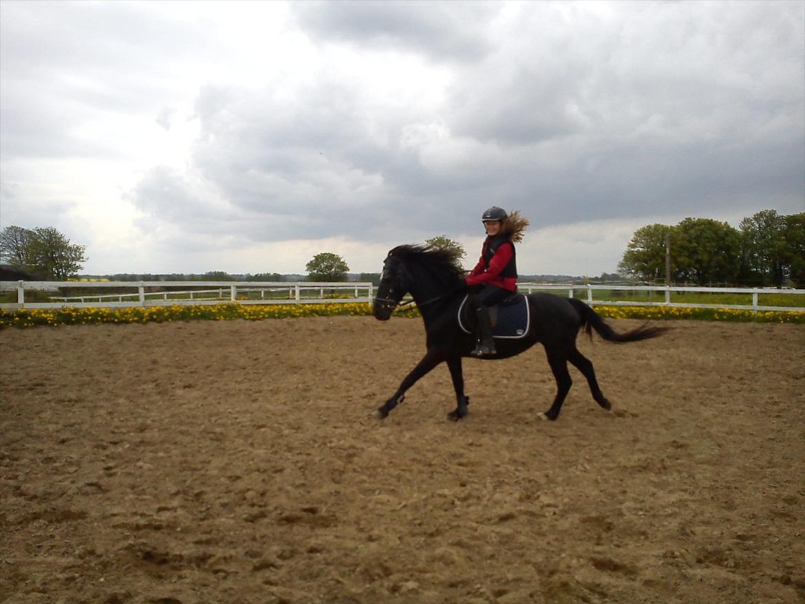 Anden særlig race Malibu - lidt fart på galoppen:) billede 3