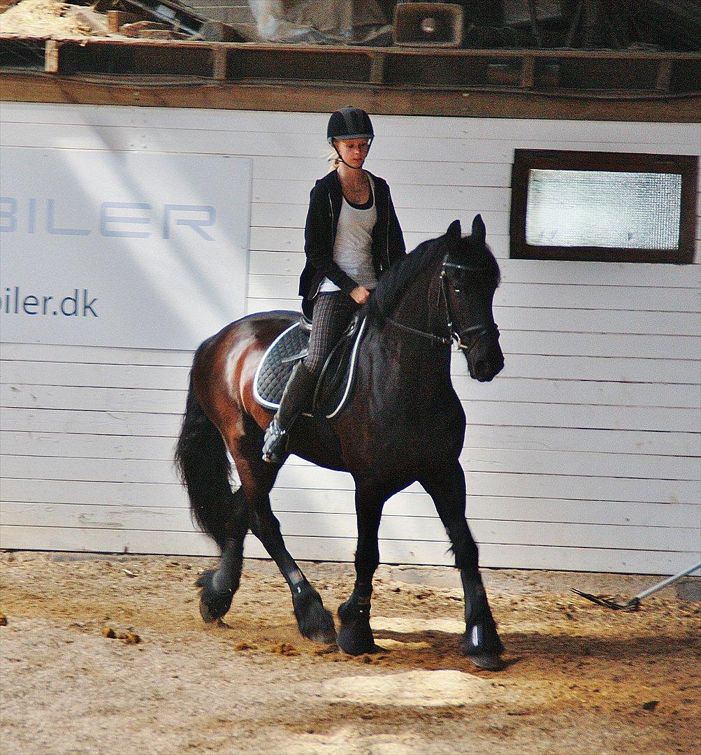 Frieser Luis - Foto: Mia Lilja Nielsen billede 10