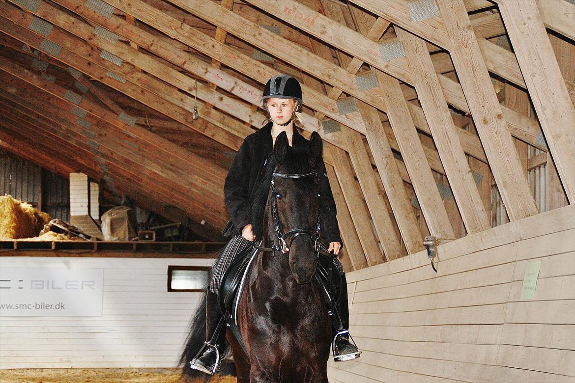 Frieser Luis - Foto: Mia Lilja Nielsen billede 18