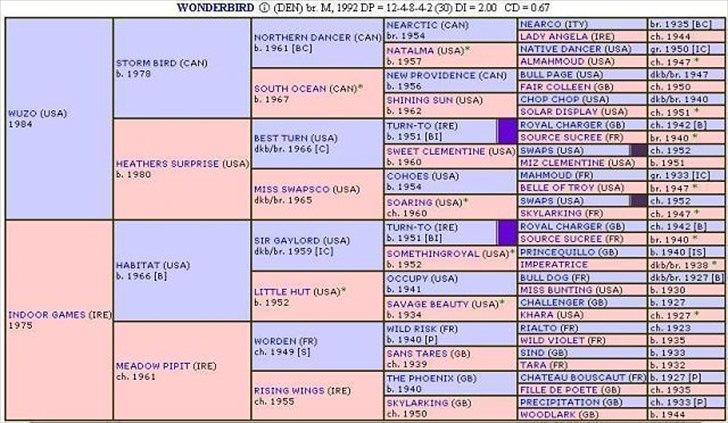 Fuldblod (XX) Cayman XX R.I.P - Wonderbird´s stamtræ (Cayman´s mor) billede 7