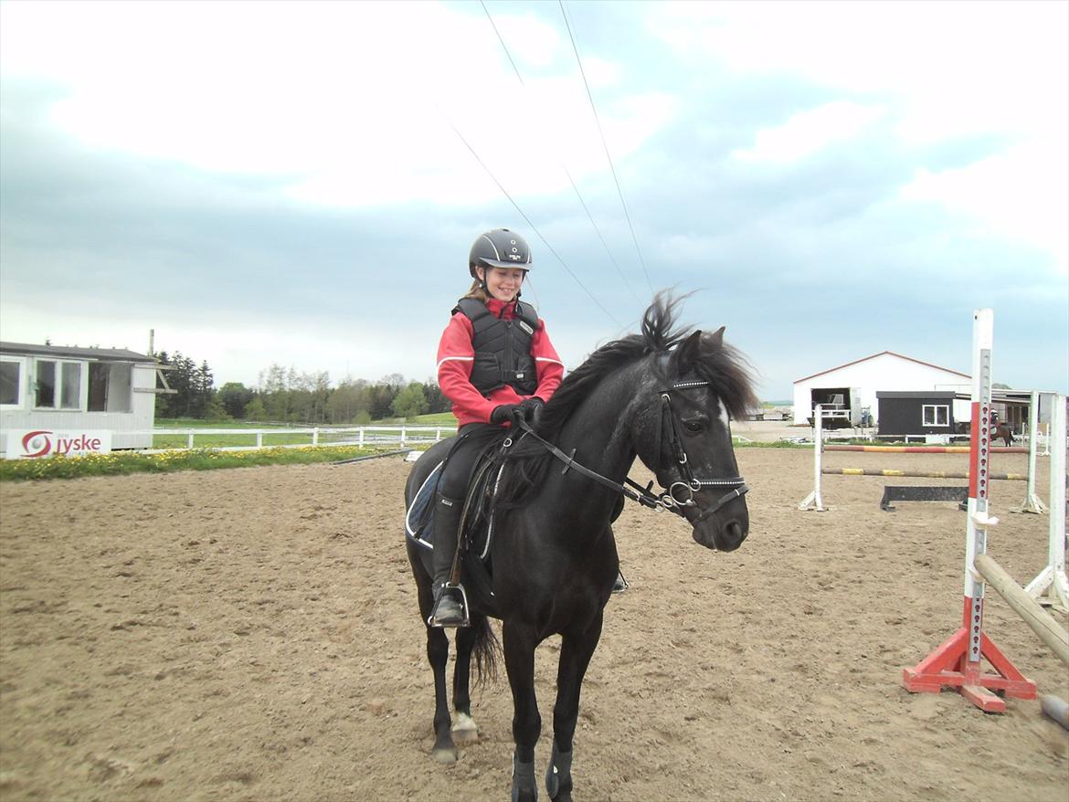 Anden særlig race Malibu - vi gider bare ikke trave mere vi skal i gang med at sringe billede 5