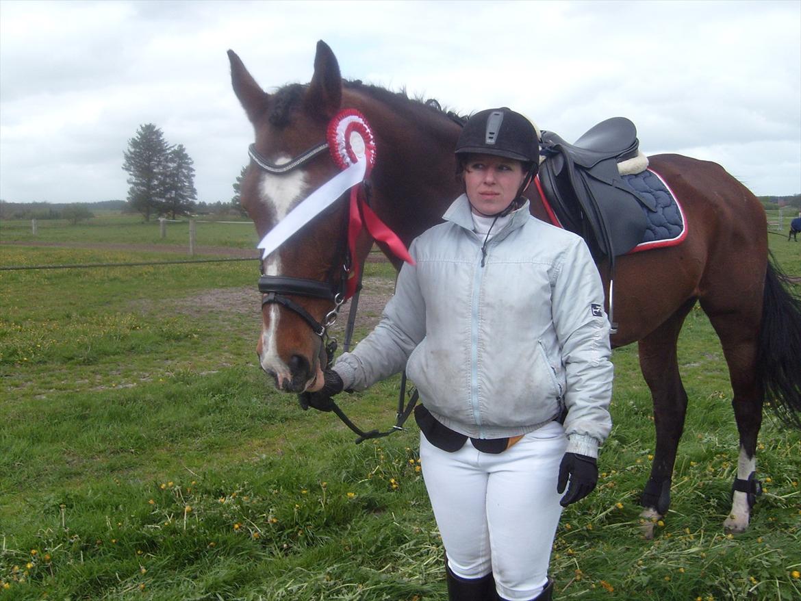 Holstener antaris *R.I.P* - til hodsager stævne d. 12 maj 2012 1 plads i LC billede 3