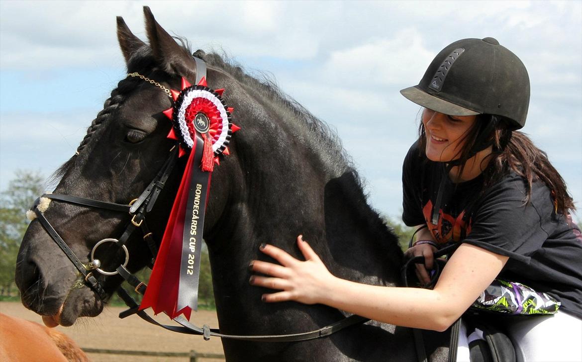 Anden særlig race Prinse'hesten Chopin - Mit eventyr! :* - Bondegårdens Cup 2012 - Vi fik første pladsen i spring!! :') Vi lavede vores omsprining på ponymåde og vandt det hele! :* Jeg er såå stolt af min lille prinshest! :*  

~ Fordi du virkelig er noget specielt mindreng I: 
Du betyder ufattelig meget for mig  billede 19