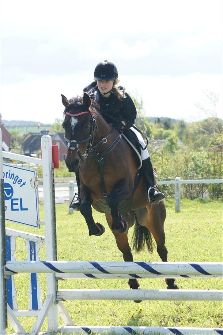 DSP Sa lee - Søhøjlandets cup i Gjern 2012

Hun var rigtig god og frisk den dag. Vi fik også den hurtigste tid 2 gange. OG kom også hjem med en rosette! :)

Foto: Amanda Absalonsen Busk
Maj-2012 billede 2