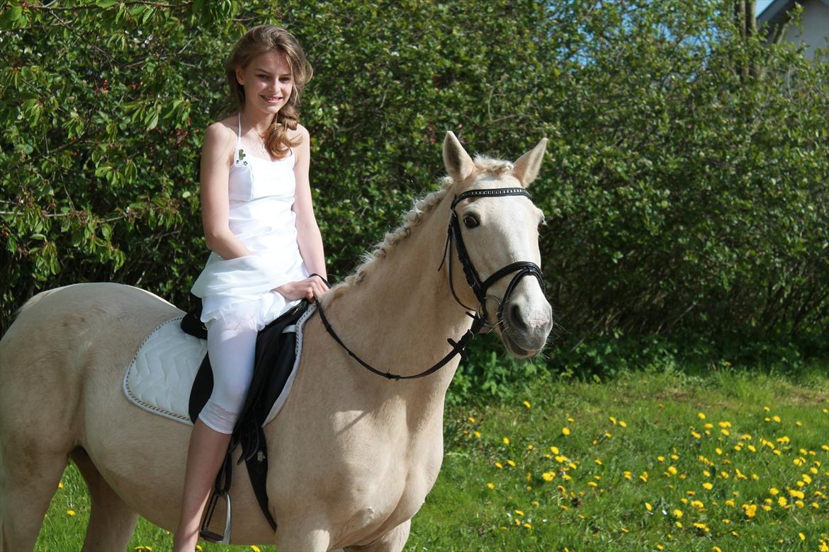 Anden særlig race Karla| Elevpony - Mig og Karla til min konfirmation. Uforglemmelig dag! billede 7