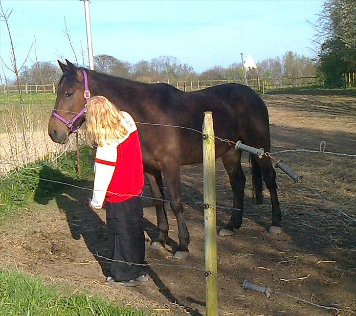 Traver David Cam billede 4