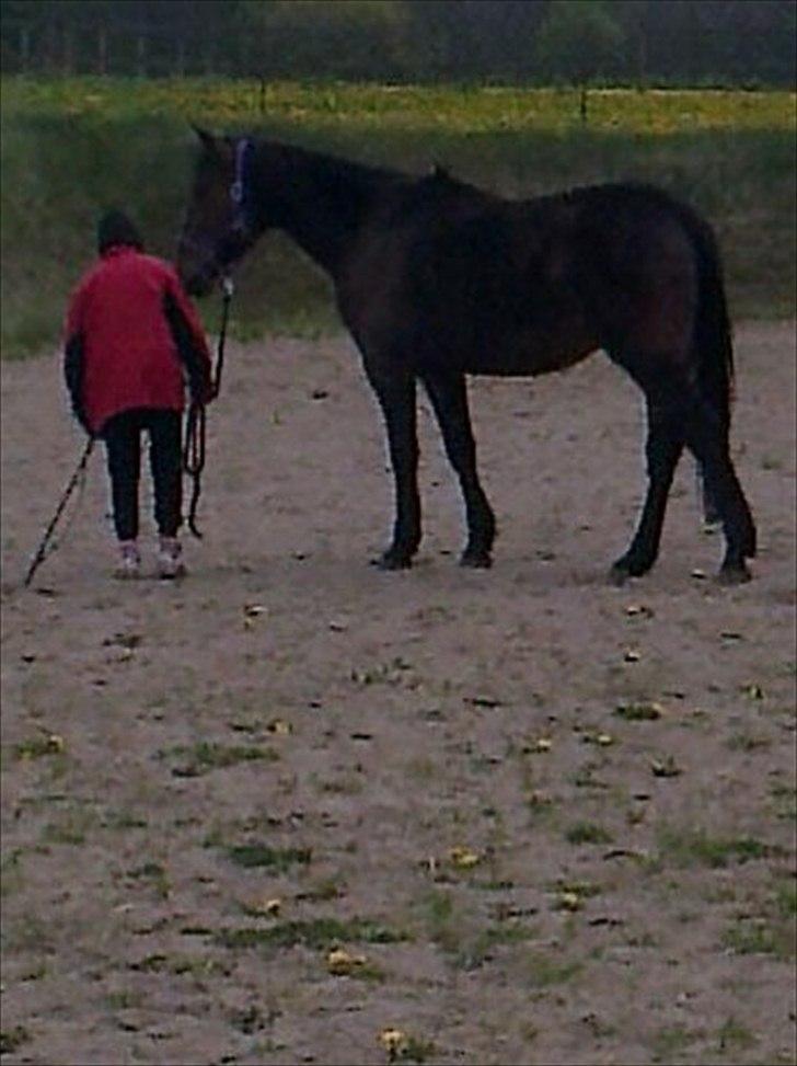 Traver David Cam billede 12