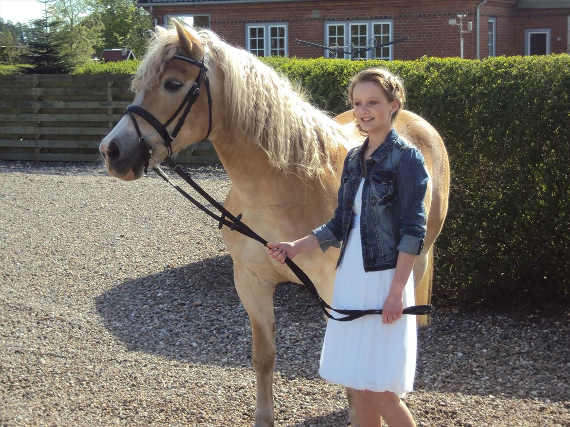 Tyroler Haflinger Bonny - Søde Bonse og jeg til min konfirmation 13. maj - 2012 :-)) billede 1