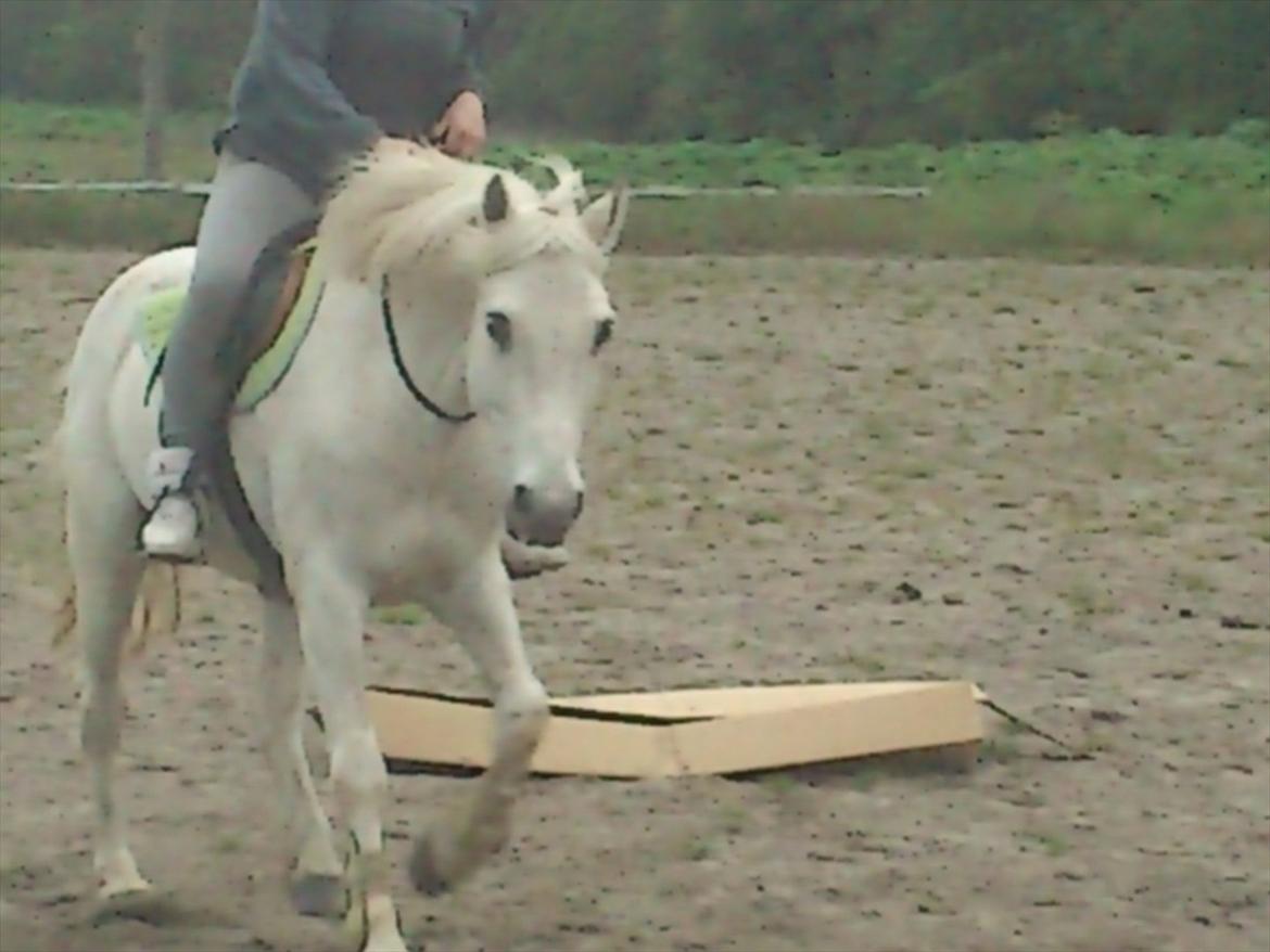 DSP Mascot-My soulmate<3 - Når ordet kærlighed ikke er nok 
Mascot du er unik <3 <3 billede 1