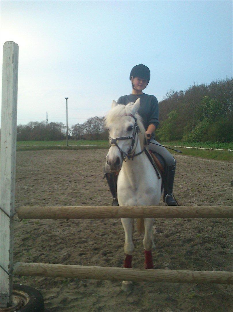 Anden særlig race Duet- min stjerne<3 - " der er 40 % chance for at hun bliver ridehest igen" 
Du gjorder det, prinsessen efter 1,05M <3 <3 billede 1