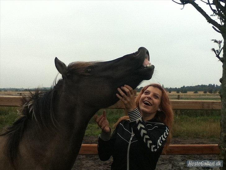 Anden særlig race Silver grey Moonlight - min baby :-* 
Miss you :-* 
 billede 1