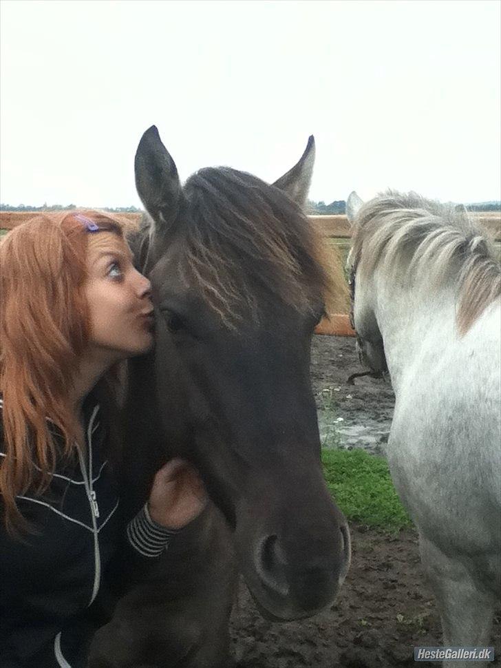 Anden særlig race Silver grey Moonlight - dig og mig gemmen alt! :-*  billede 6