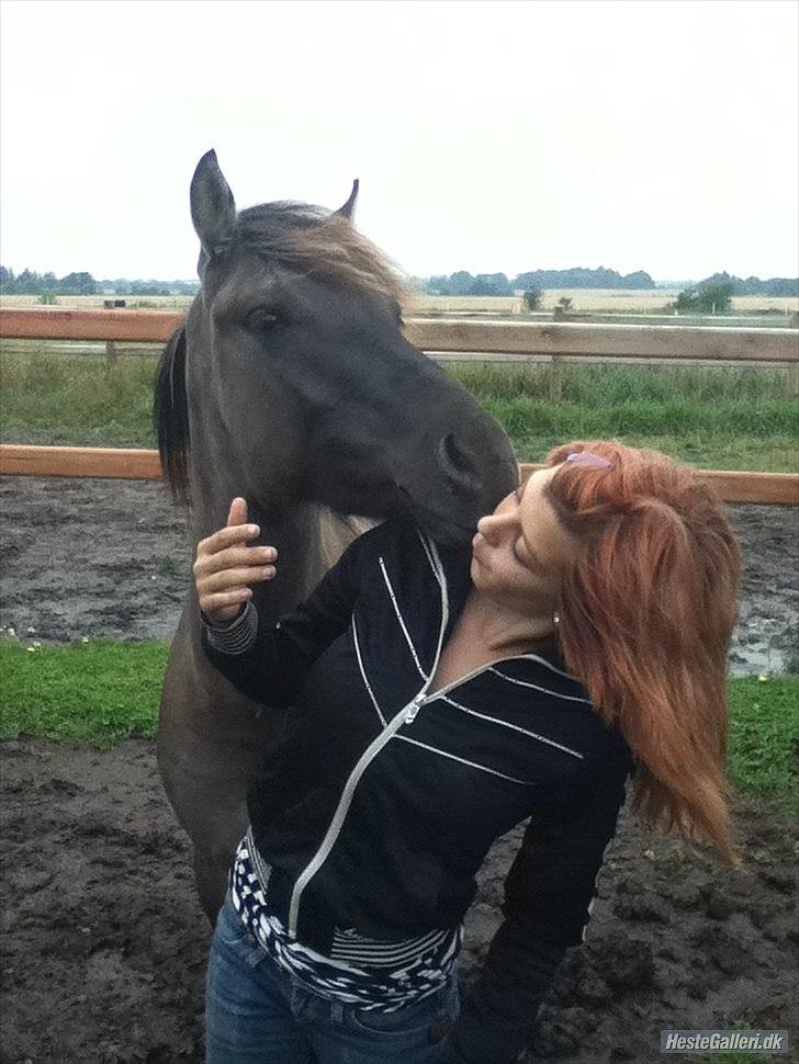 Anden særlig race Silver grey Moonlight - Kærlighed :-*  billede 3