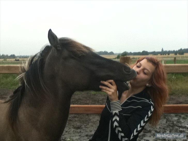 Anden særlig race Silver grey Moonlight - Mysser til dig :-*  billede 5