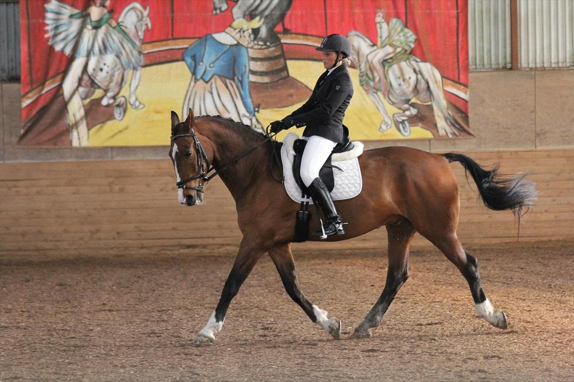 Anden særlig race Actions Apollo billede 1