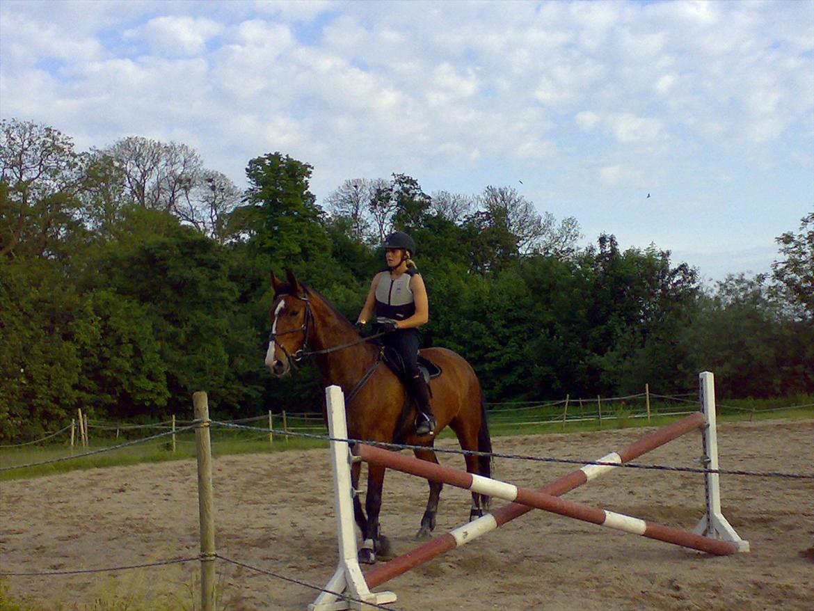 Anden særlig race Actions Apollo billede 3