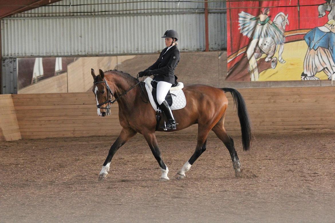 Anden særlig race Actions Apollo billede 6