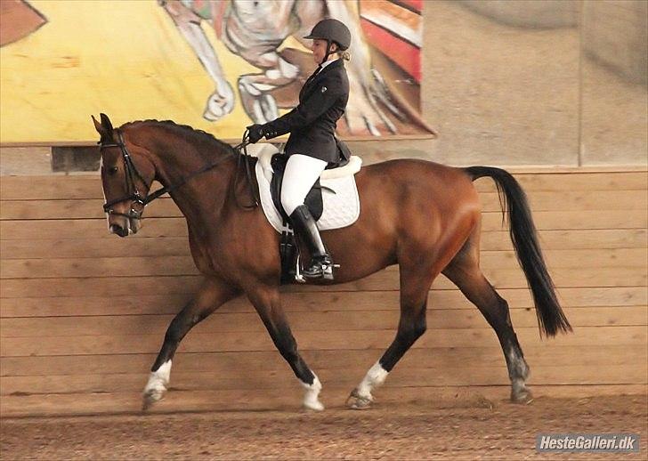 Anden særlig race Actions Apollo billede 8