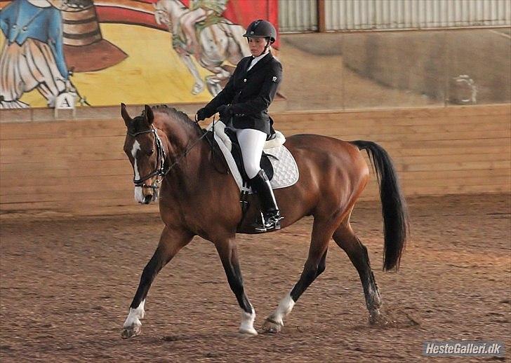 Anden særlig race Actions Apollo billede 9