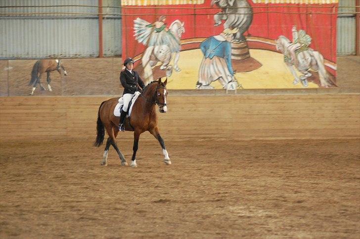 Anden særlig race Actions Apollo billede 10