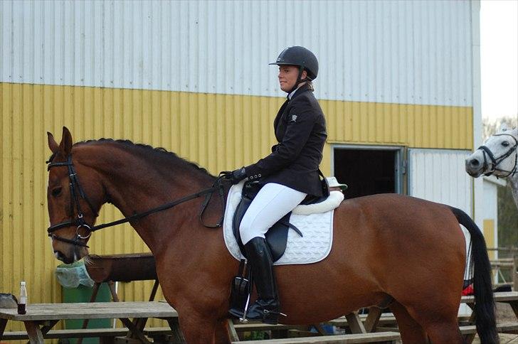 Anden særlig race Actions Apollo billede 11