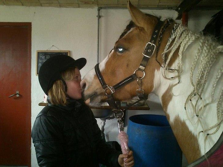 Anden særlig race Hedegaardens Savannah - du mit et&alt smuksak<3 billede 11